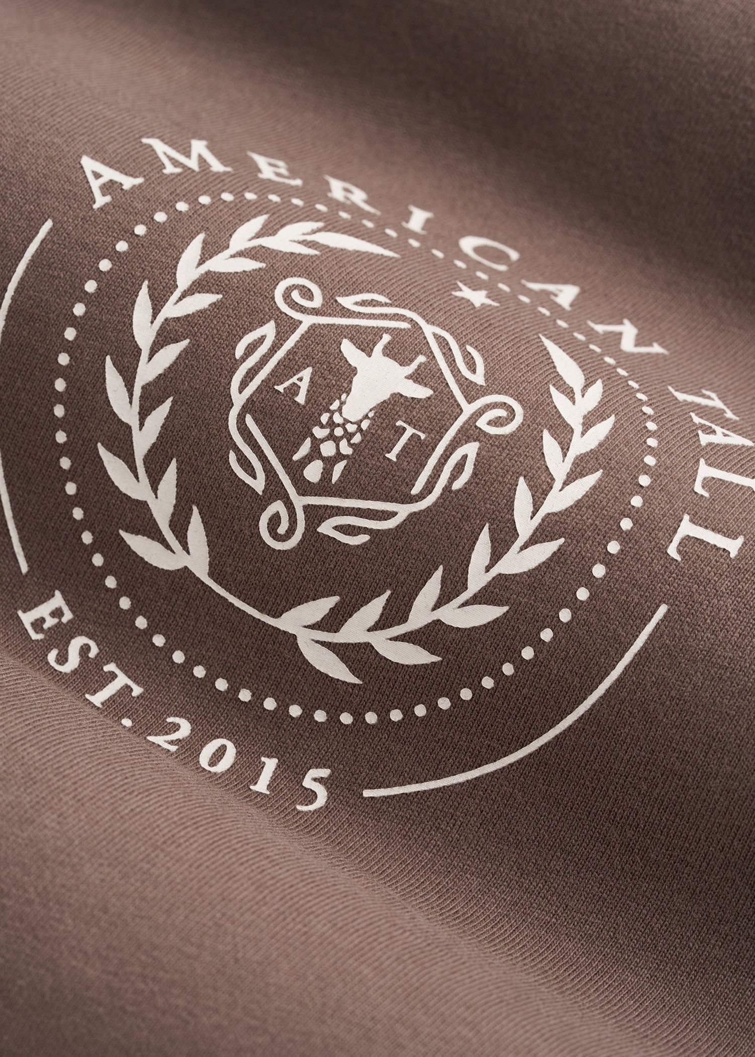 American Tall Online Shop | Crest Graphic Tee for Tall Men in Brown