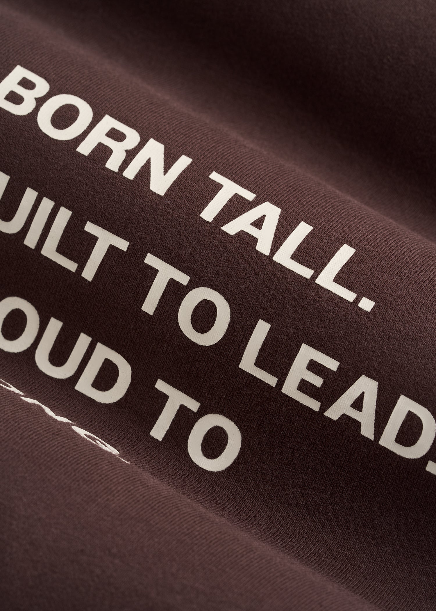 American Tall Online Shop | Mission Graphic Tee for Tall Men in Brown