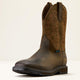 DARK BROWN