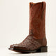 BOURBON FULL QUILL OSTRICH