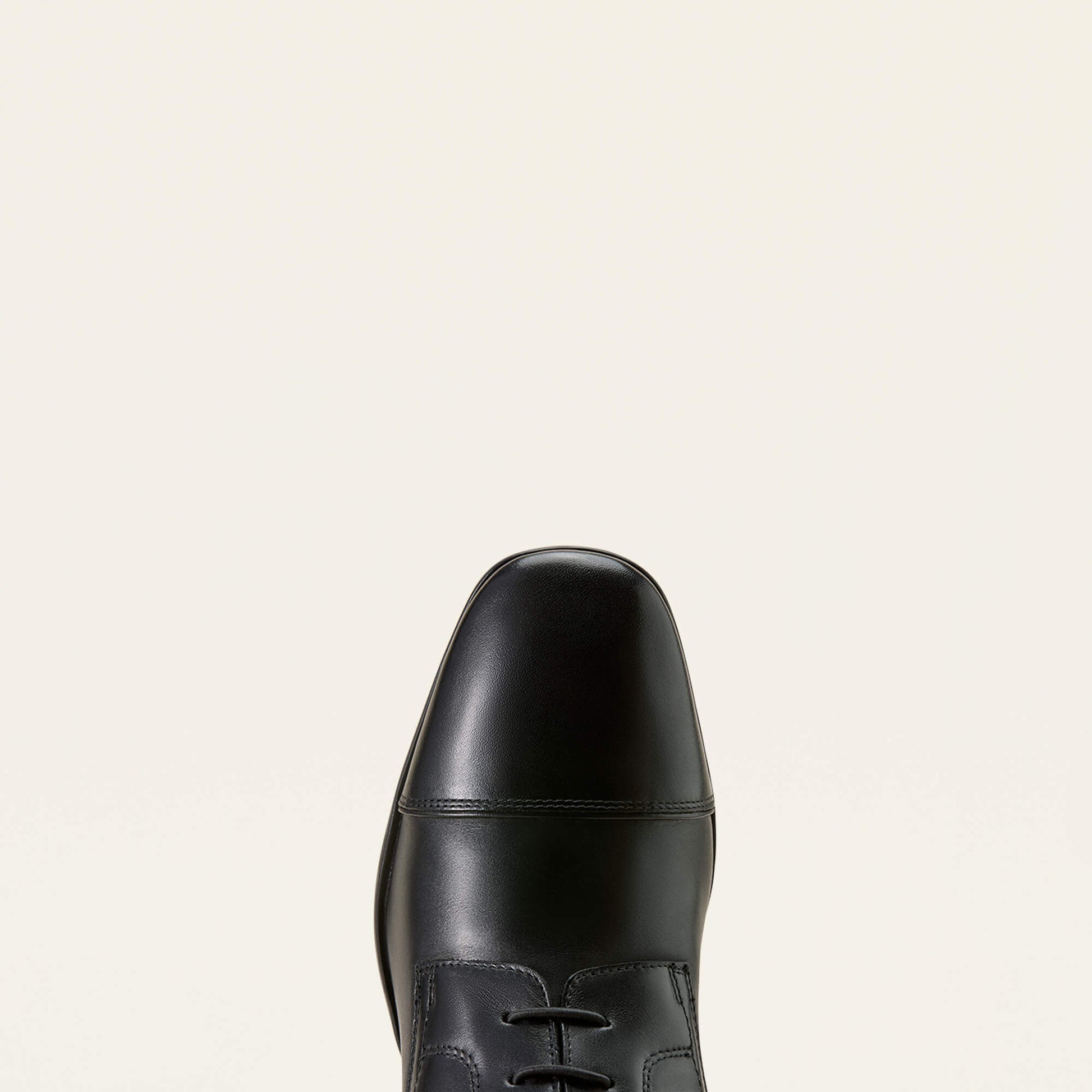 Ariat Palisade Field Tall Riding Boot