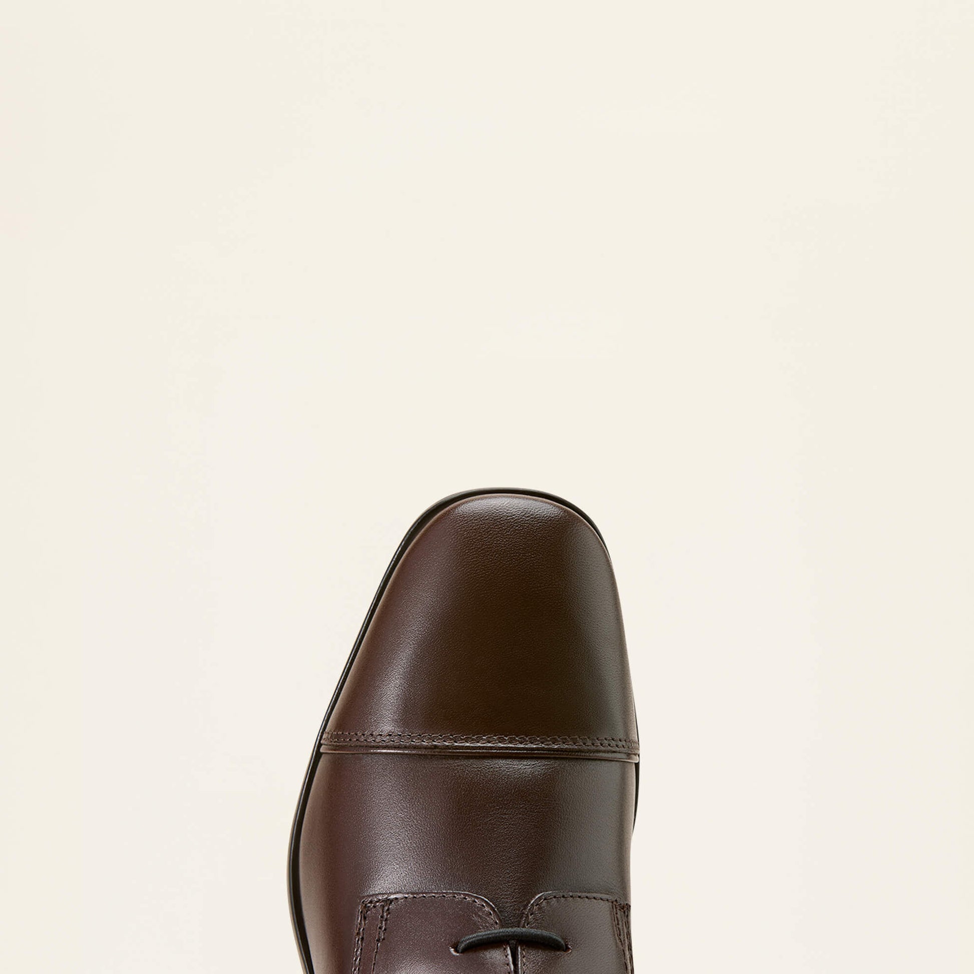 Ariat Palisade Field Tall Riding Boot