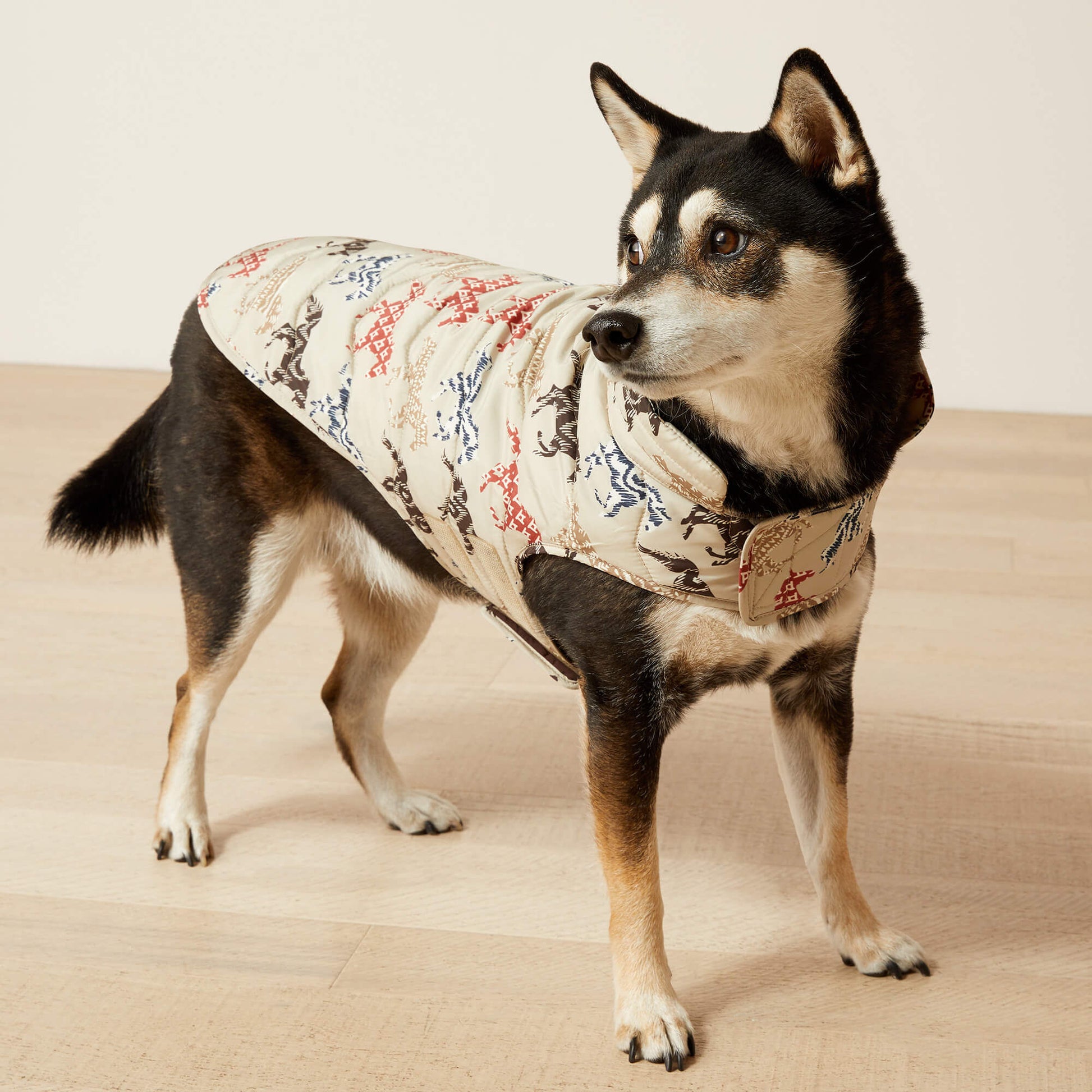 Ariat Pup Puffer Jacket