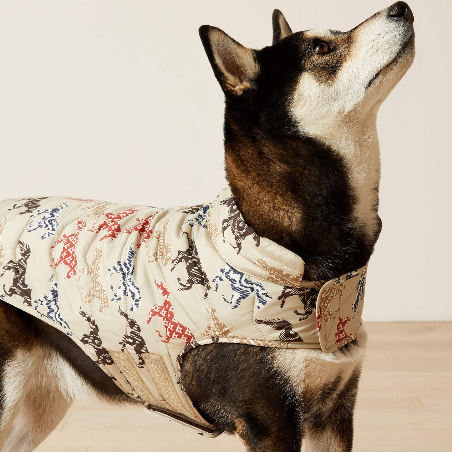 Ariat Pup Puffer Jacket
