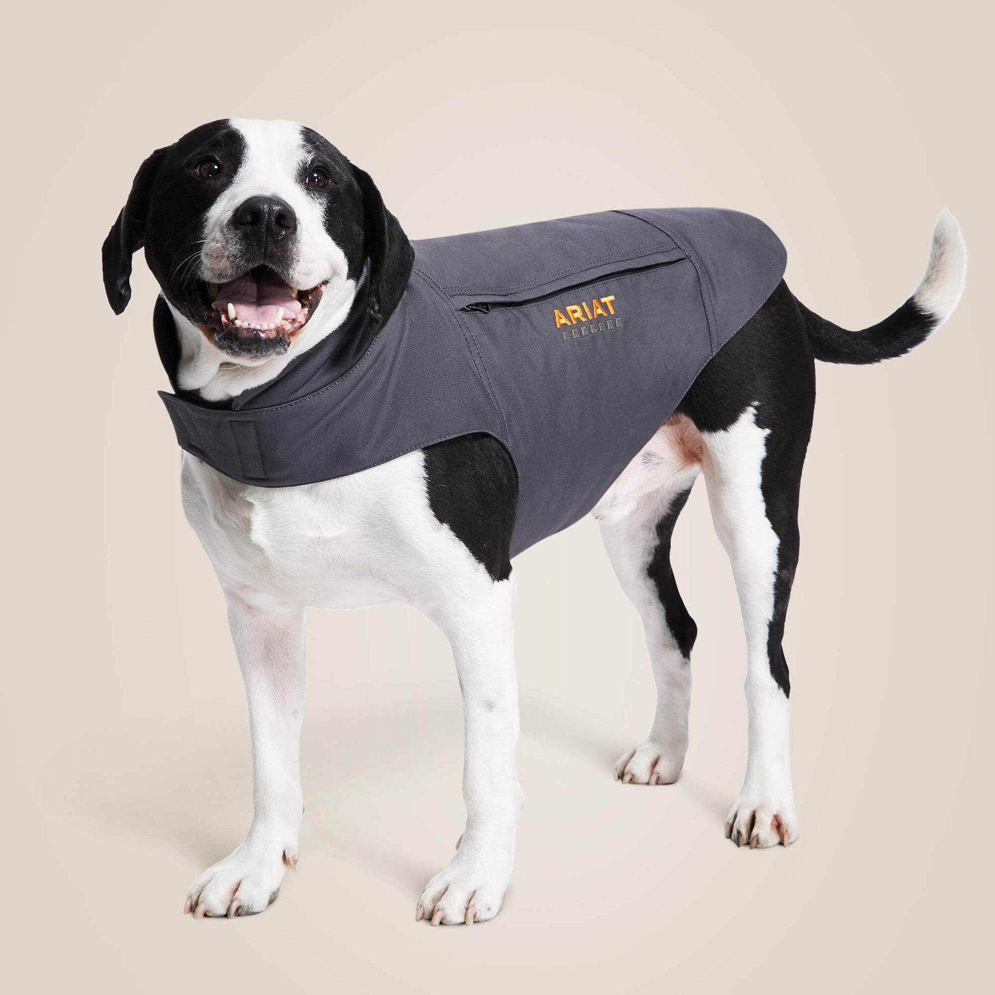 Ariat Rebar DuraCanvas Insulated Dog Jacket