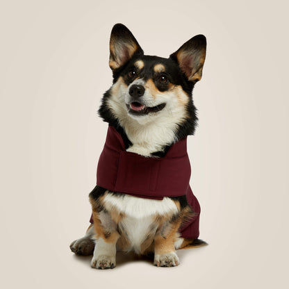 Ariat Team Softshell Dog Jacket