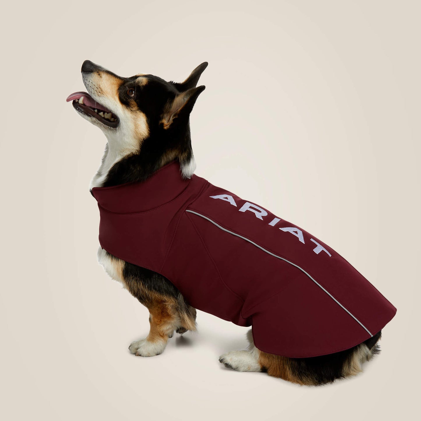 Ariat Team Softshell Dog Jacket