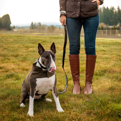 Ariat Dog Leash