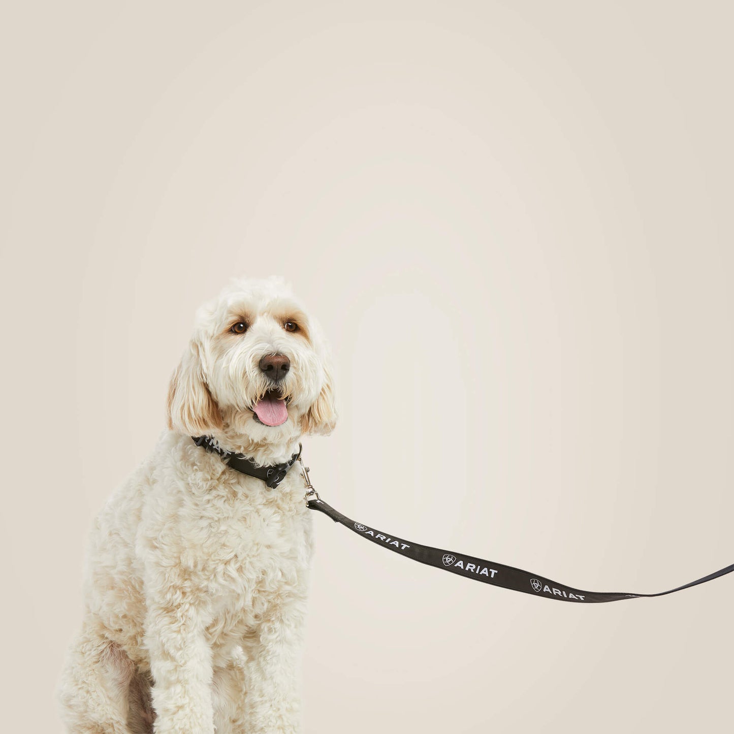 Ariat Dog Leash