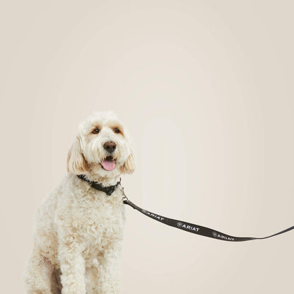 Ariat Dog Leash