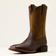 FIDDLE BROWN