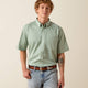 SILT GREEN
